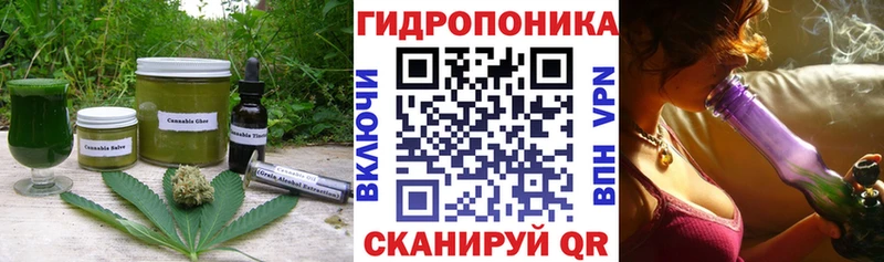 Купить где  Кувандык  Cannafood конопля 