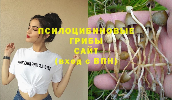 дмт Заволжье
