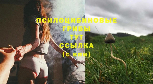 дмт Заволжье
