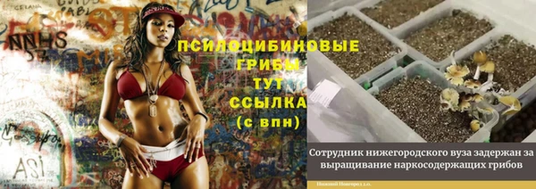 молекула духа Елабуга