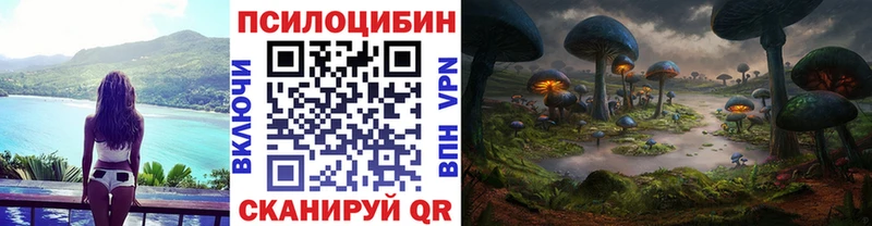 Псилоцибиновые грибы Psilocybine cubensis  Купить  Кувандык 